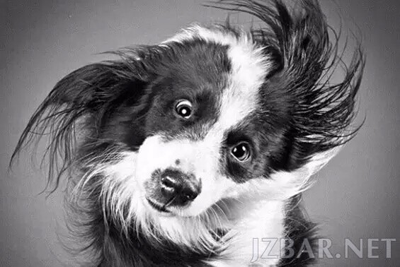 141635xryxmjsauammx0dj.jpg